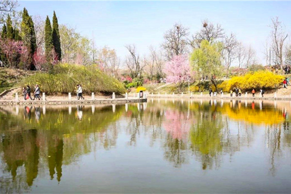 桃花塢公園