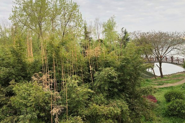 漢中飲馬池