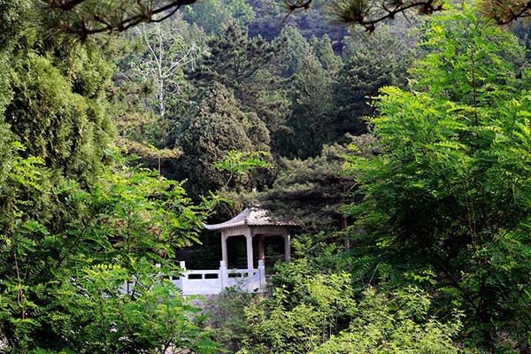 九泉蓮花山