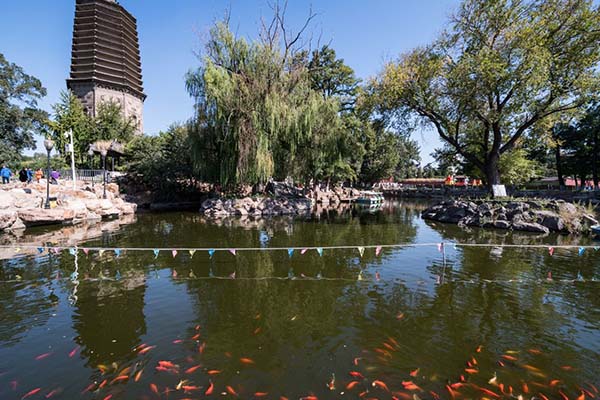 遼陽(yáng)白塔公園