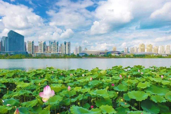 觀音湖國家濕地公園