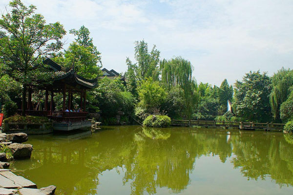 峨眉山竹葉青生態茗園