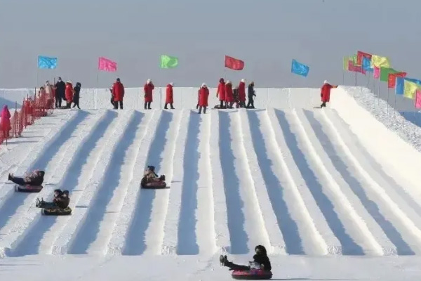 哈爾濱冰雪樂園在哪里-玩什么