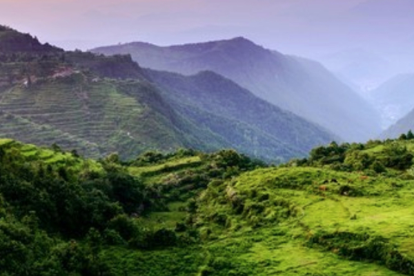 茗岙鄉