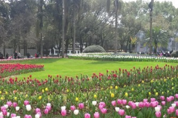 馬鞍池公園