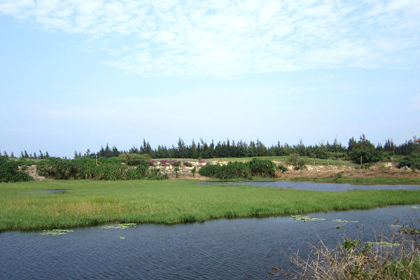 西海岸海尾濕地公園