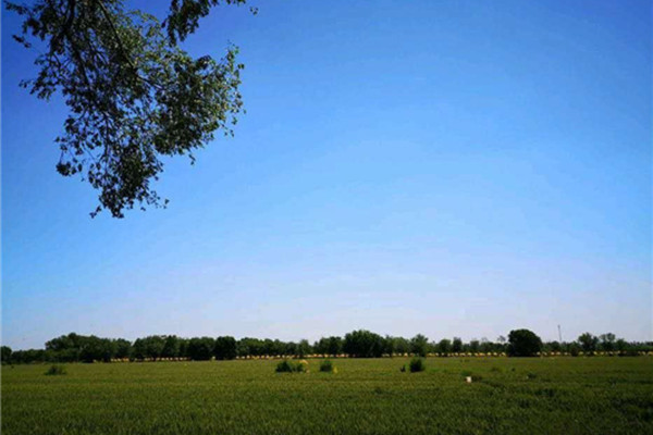 西青郊野公園