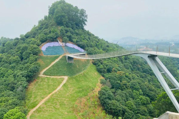 深圳光明大頂嶺綠道游玩攻略 浮橋需要預約嗎