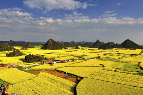 2021長(zhǎng)沙油菜花欣賞有哪些地方 長(zhǎng)沙油菜花景點(diǎn)推薦