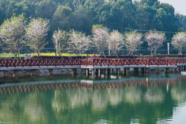 長(zhǎng)沙桃花嶺公園門(mén)票多少 桃花嶺公園游玩攻略