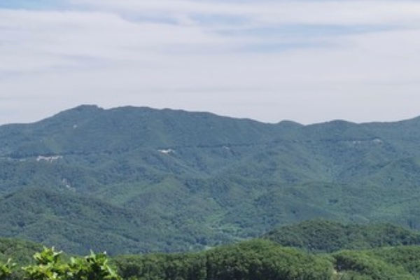 朱雀山國家級森林公園