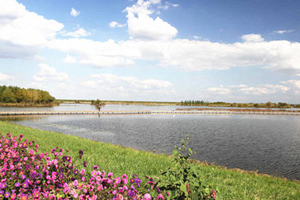 遼河濕地公園