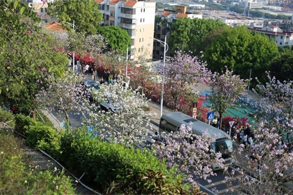 小南山公園