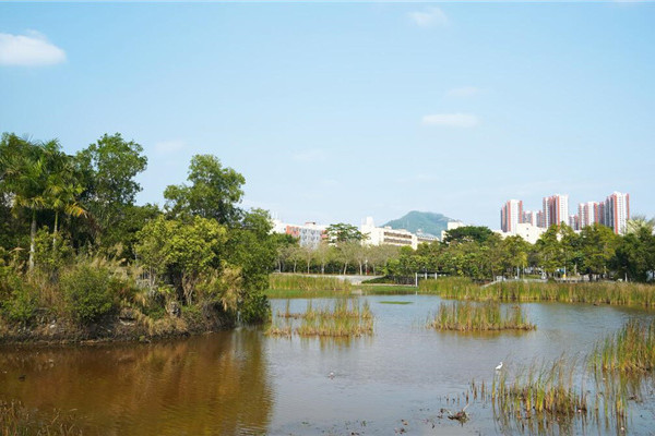 松坪山公園