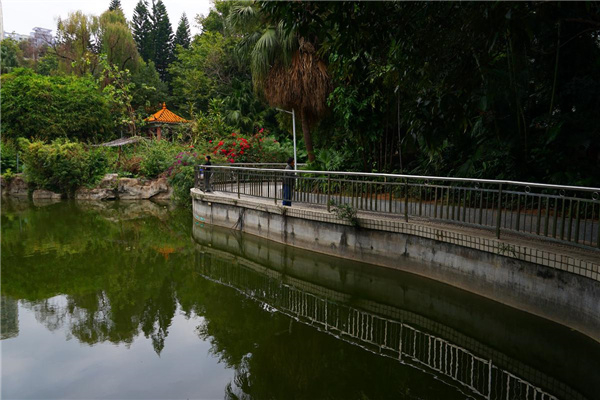 羅湖文化公園