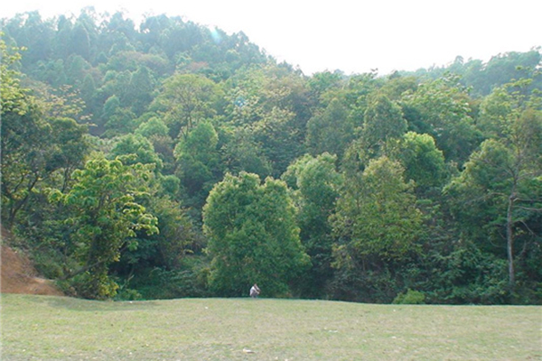 石芽嶺公園