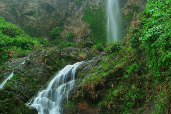 龍山森林公園