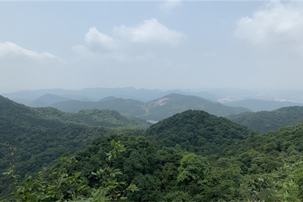 王子山森林公園