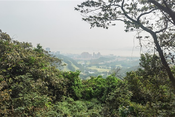 黃山魯森林公園