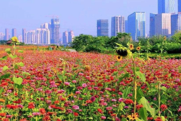 2021福州花海公園在哪里 福州花海公園五月開什么花