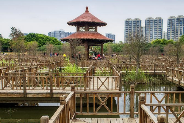 五緣灣濕地公園