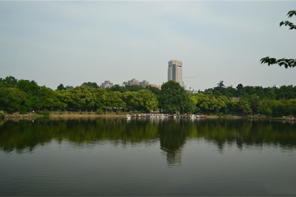 南京繡球公園