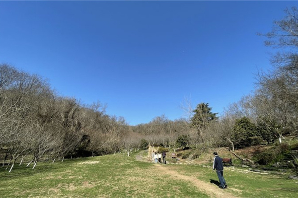 方山森林公園