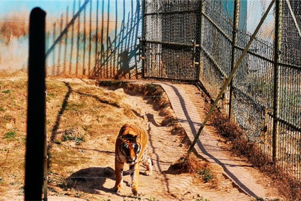 珍珠泉野生動物生態(tài)園