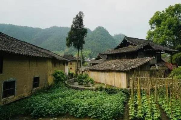 溫州古村落哪個風(fēng)景好