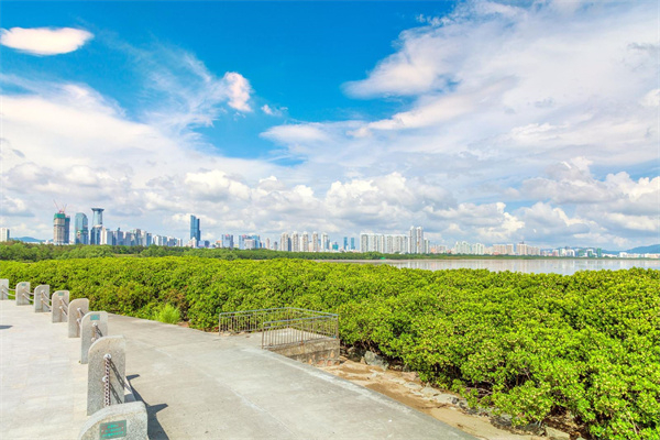 紅樹林海濱生態公園