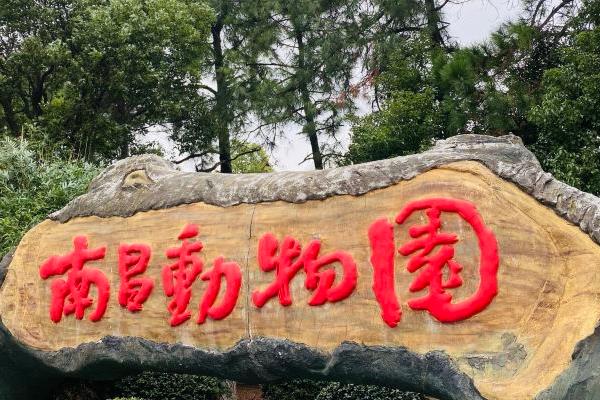 受疫情影響南昌動物園實行限流