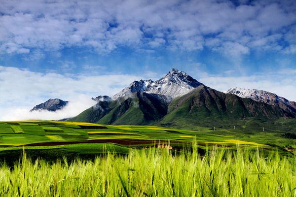 青海祁連牛心山旅游攻略