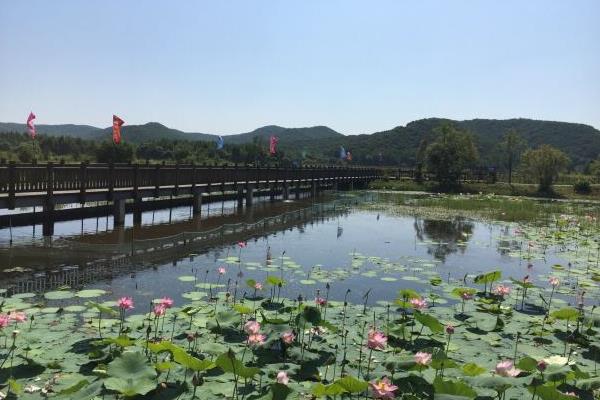 大石頭亞光湖國家濕地公園