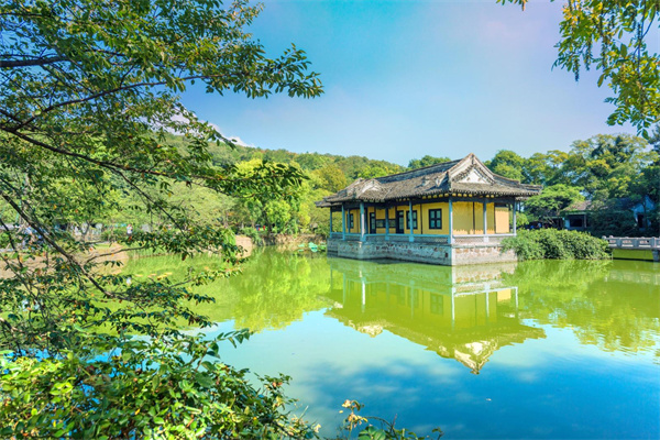 藕花深處