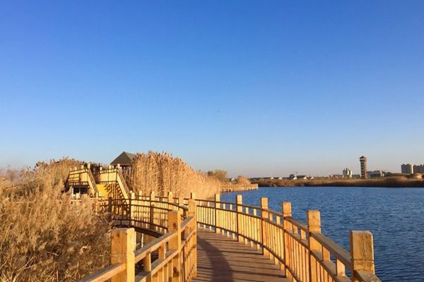 張掖國家濕地公園門票