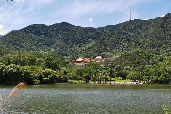 湖南省植物園9月有什么花