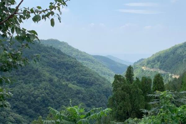 洪慶山國家森林公園