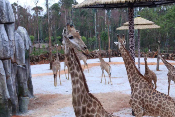 9月26日蘭州野生動物園開園-門票價格-地址及交通