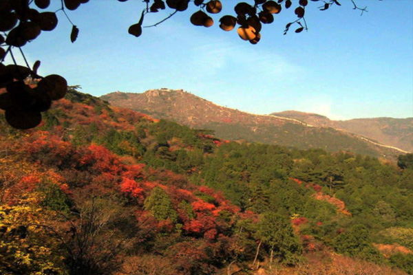 西嶺國家森林公園