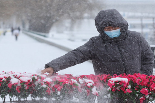 黑龍江暴雪最新消息2021年11月22日 防御指南