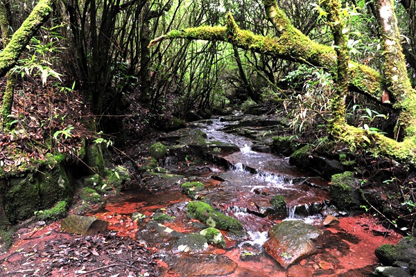 南昌灣里磨盤山森林公園特色玩法