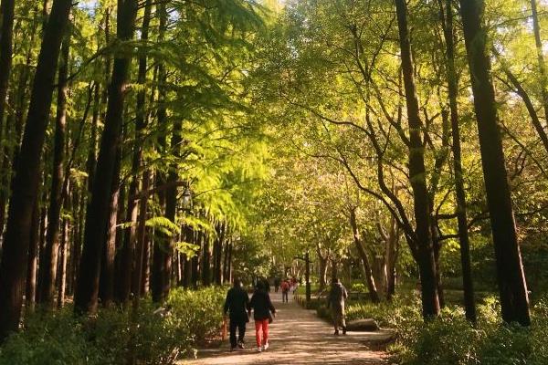 上海值得一去的免費(fèi)公園