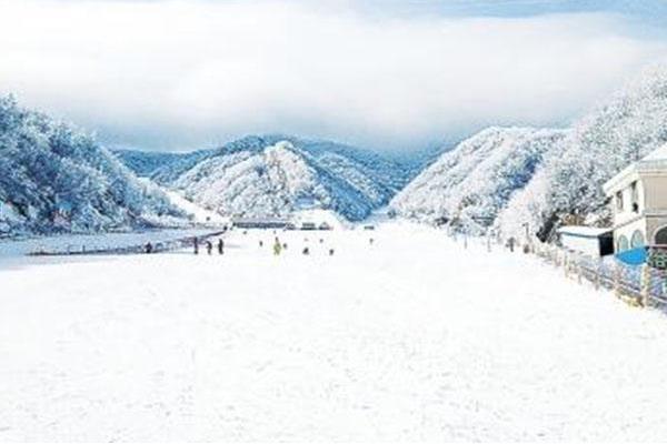 襄陽滑雪場在哪里 襄陽滑雪場哪個最好玩