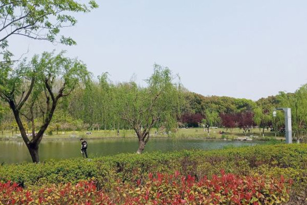 黎安公園