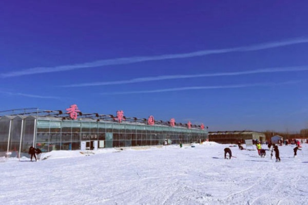 香草園滑雪場